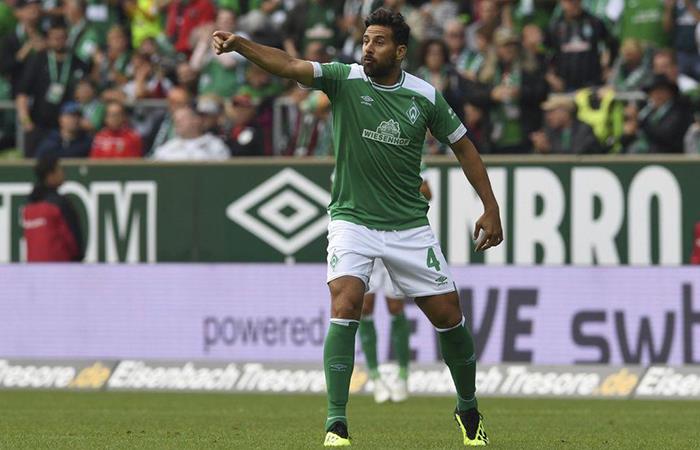 Claudio Pizarro anotó para el Werder Bremen. Foto: Twitter