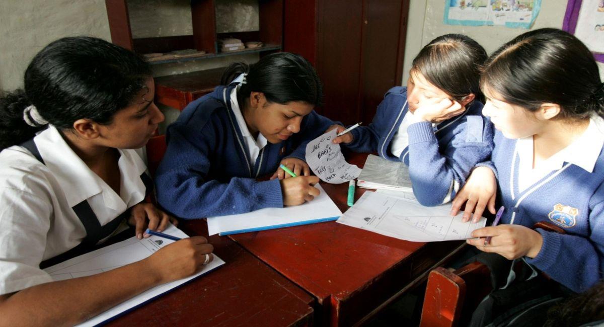 Los escolares peruanos estudiaron a distancia en este 2020. Foto: Andina