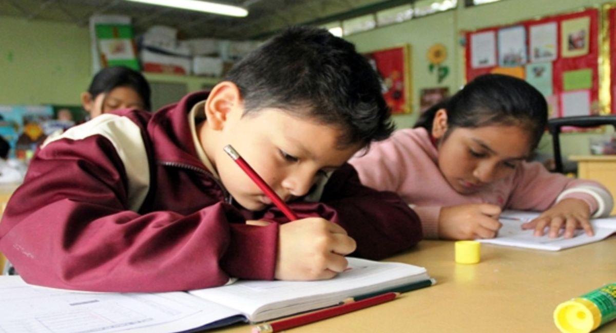 La eduación escolar tendrá otro desafío en el año 2021. Foto: Andina