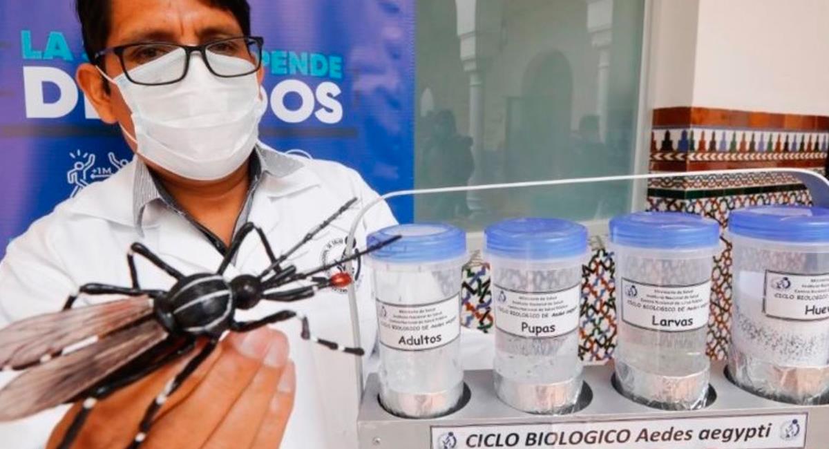 Nuevos casos de dengue se presenta los últimos días en Perú. Foto: Andina