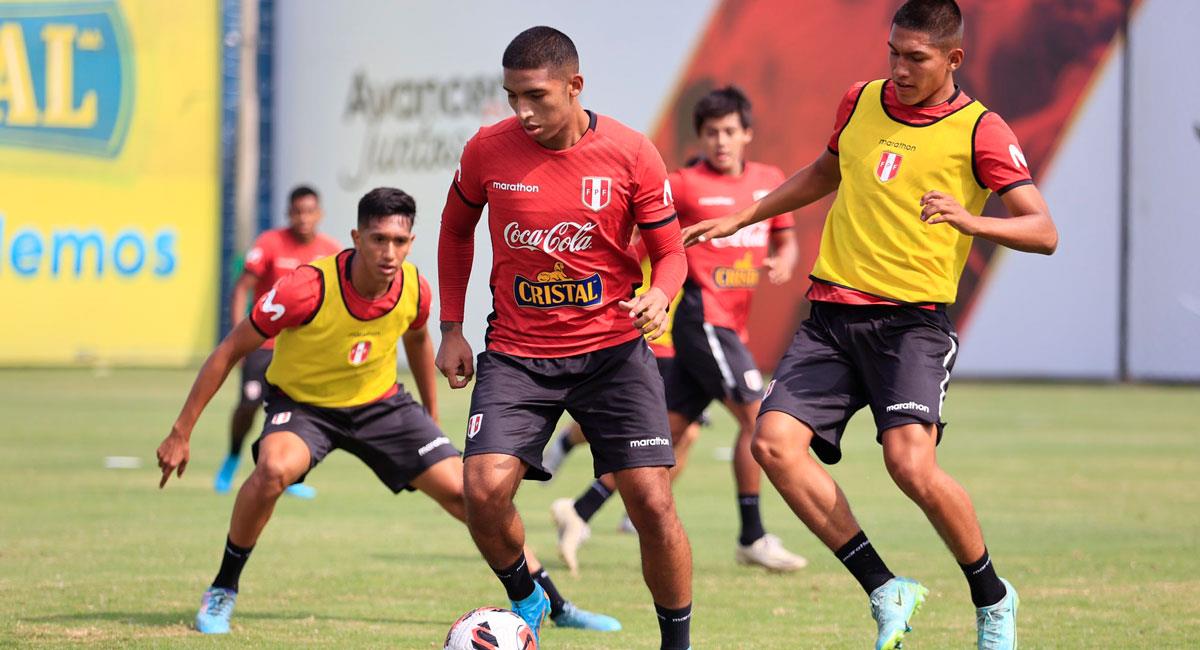 Perú jugará dos amistosos ante Chile en Lima. Foto: FPF