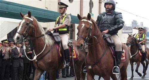 Congresistas piden prohibir el uso de caballos de la PNP