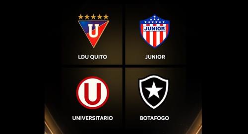Tabla de posiciones del Grupo D de la Copa Libertadores: Universitario, LDU, Junior y Botafogo